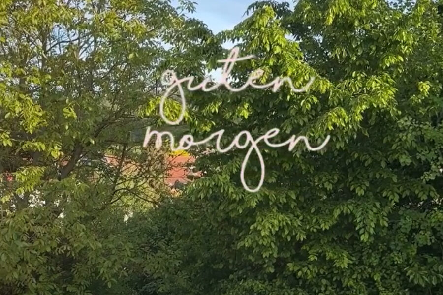 Guten Morgen aus meinem fränkischen Regenwald