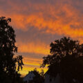 Farbenprächtiger Himmel bei Sonnenaufgang mit Wolken und Baumsilhouetten – ein achtsamer Moment am Morgen
