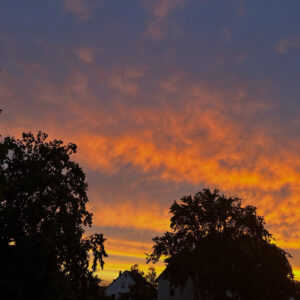 Farbenprächtiger Himmel bei Sonnenaufgang mit Wolken und Baumsilhouetten – ein achtsamer Moment am Morgen